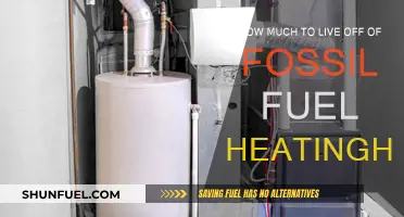 Living Off Fossil Fuels: The True Cost of Home Heating