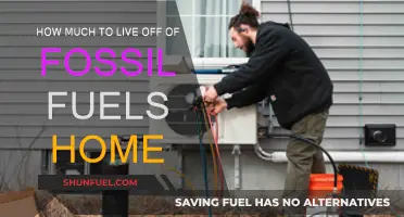 Living Off Fossil Fuels: The Cost of Running a Home