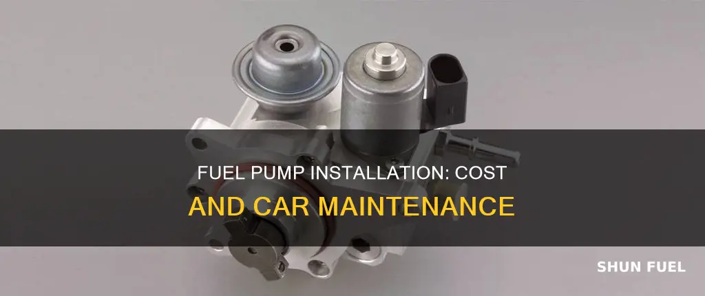 how much to put a fuel pump in a car