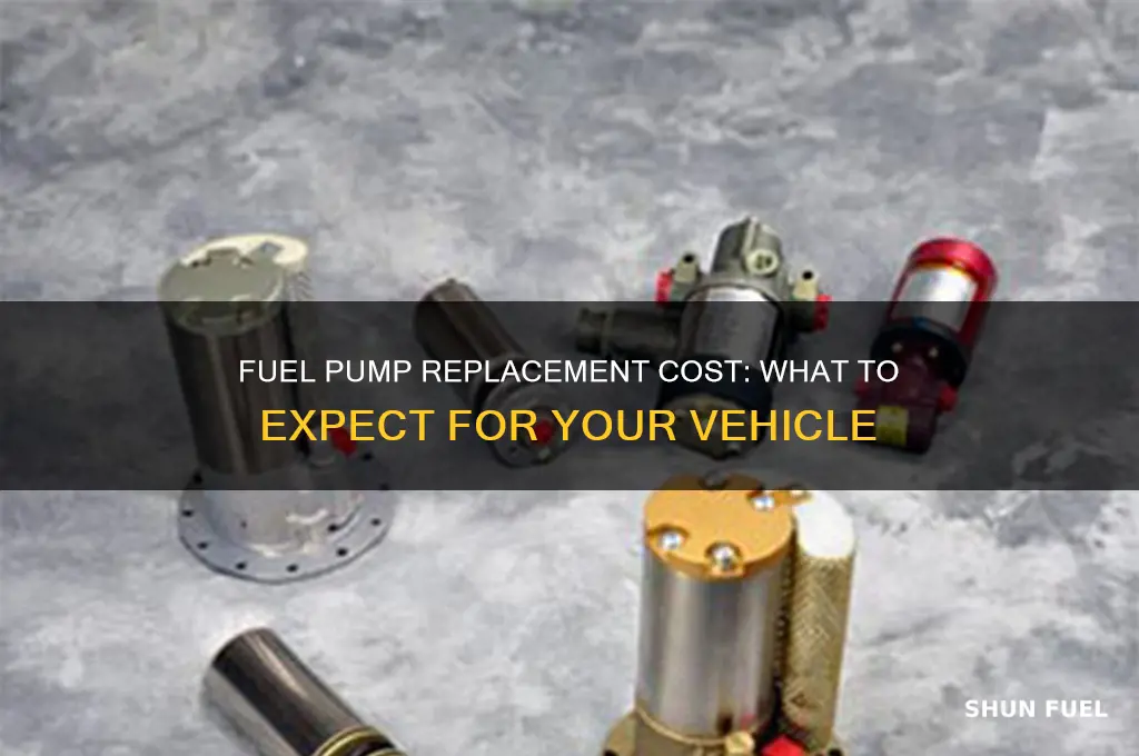 how much to put a fuel pump in