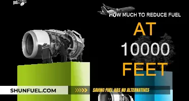 Reducing Fuel Consumption: Strategies for Flying at 10,000 Feet
