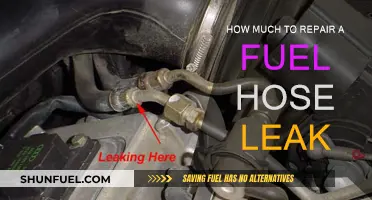 Fuel Hose Leak: Quick Fix or Costly Conundrum?