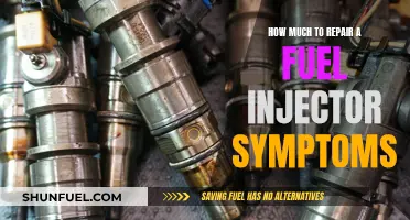 Fuel Injector Repair: Cost and Symptom Guide