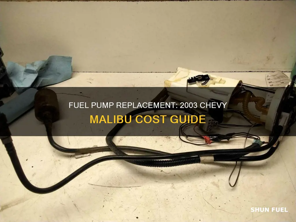 how much to replace 2003 chevelot malibu fuel pump