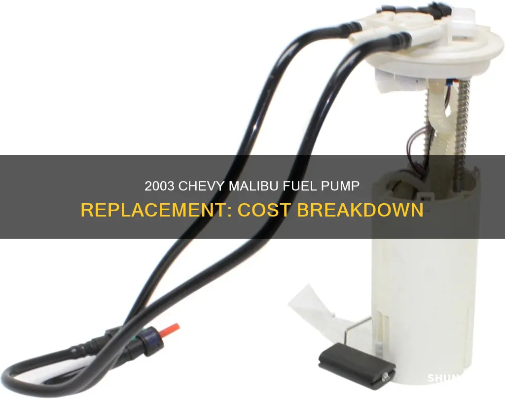 how much to replace 2003 chevrolet malibu fuel pump