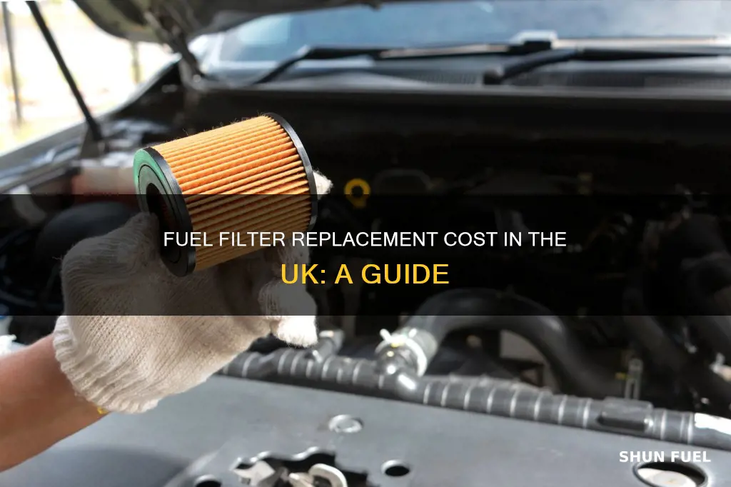 how much to replace a fuel filter uk