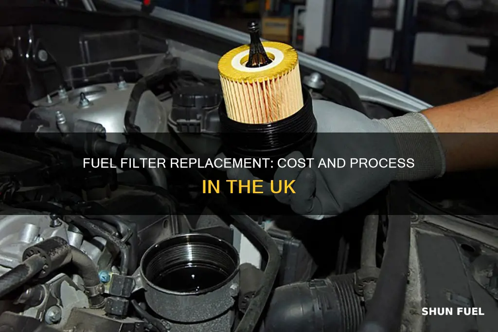 how much to replace a fuel filter uk