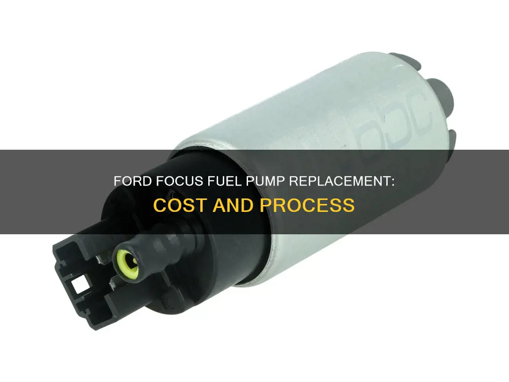 how much to replace a fuel pump ford focus