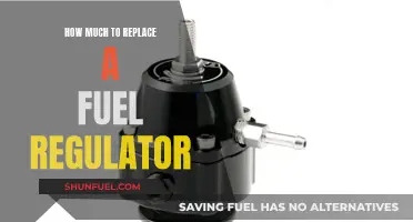 Fuel Regulator Replacement: Cost and Procedure Explained