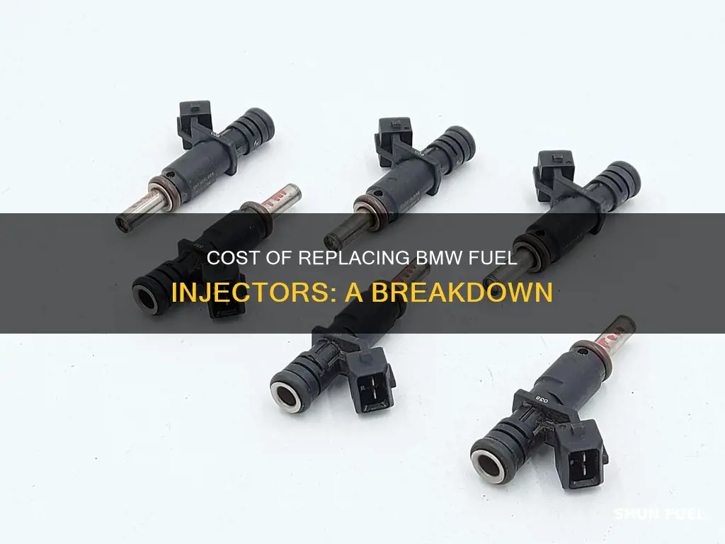 how much to replace bmw fuel injectors