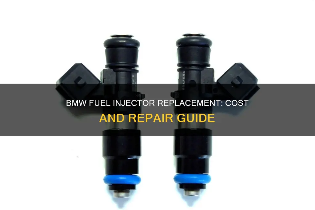 how much to replace bmw fuel injectors