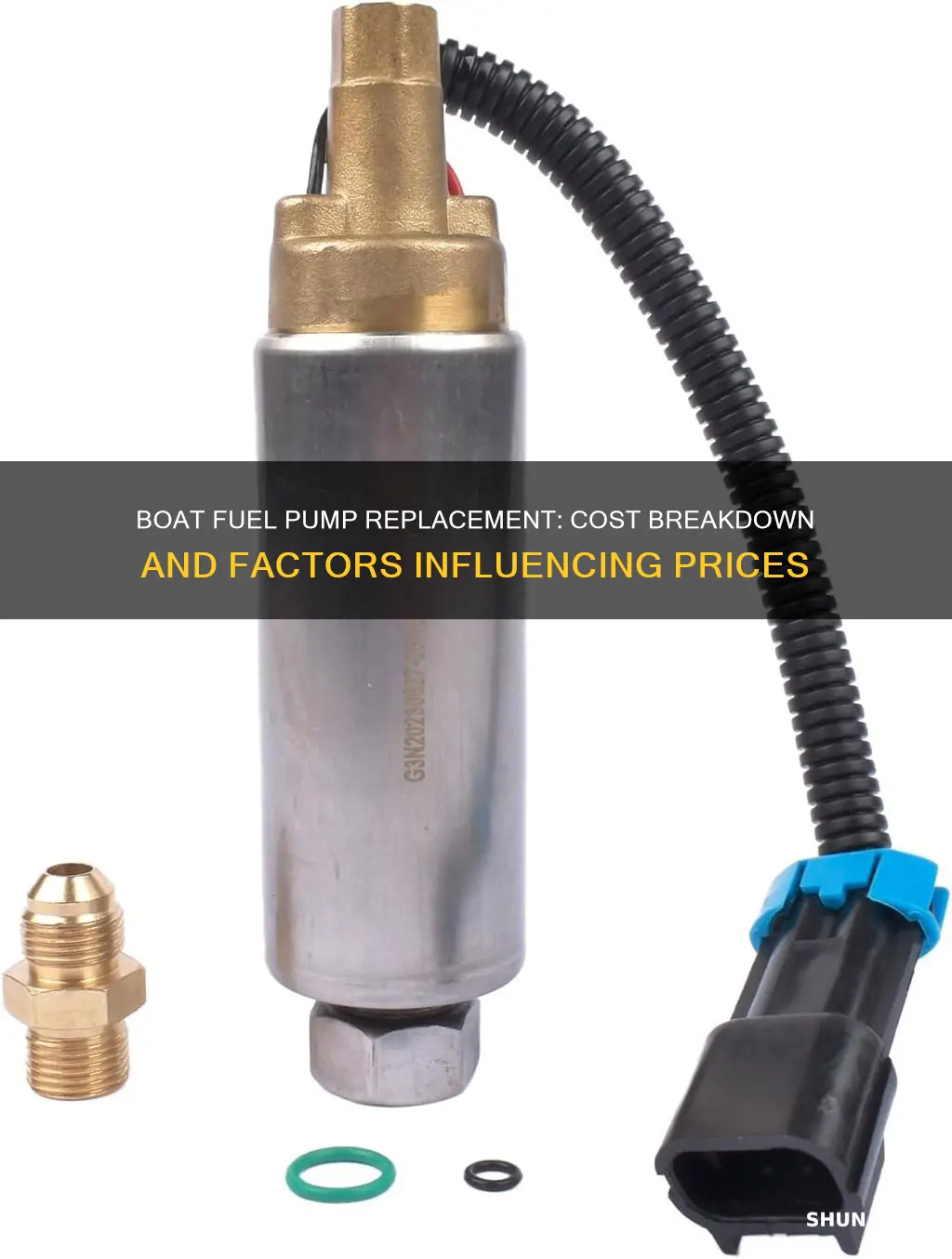 how much to replace boat fuel pump