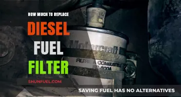 Diesel Fuel Filter Replacement: Cost Breakdown and Factors