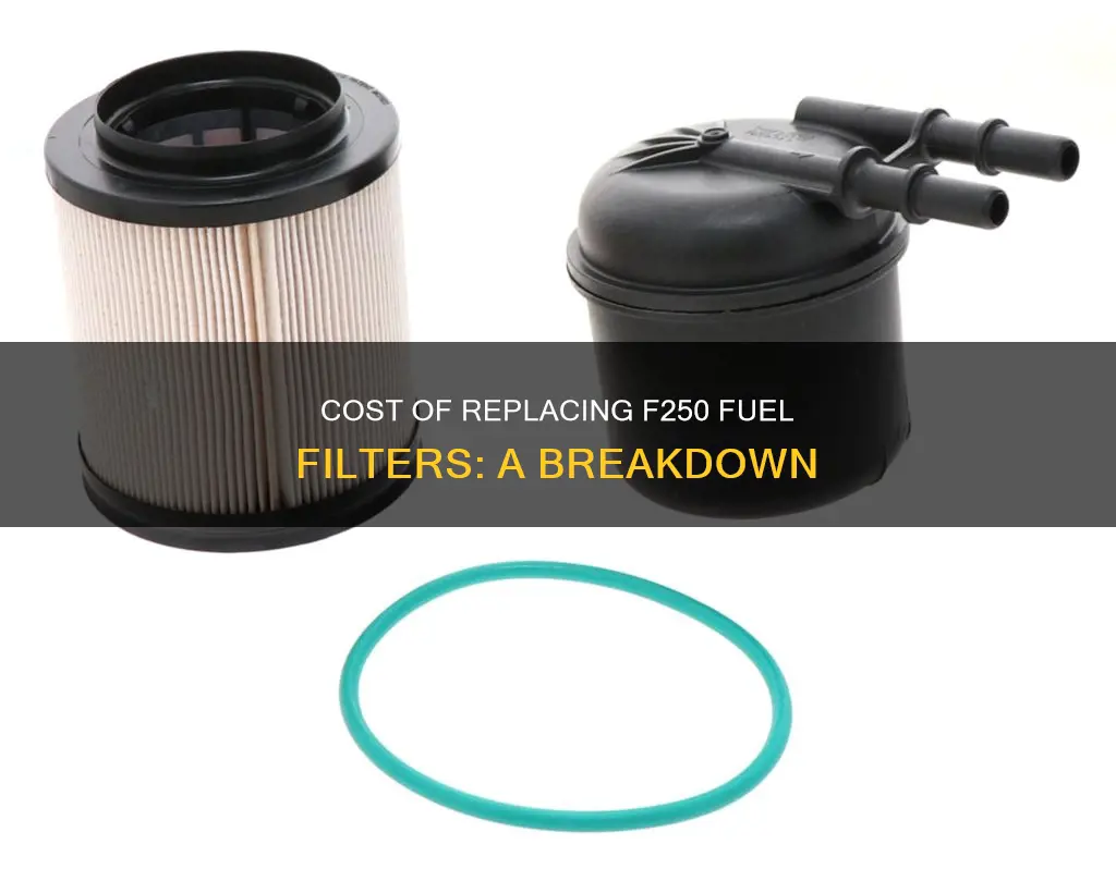 how much to replace f250 fuel filters