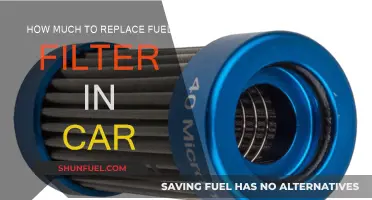 Fuel Filter Replacement: Cost and Process