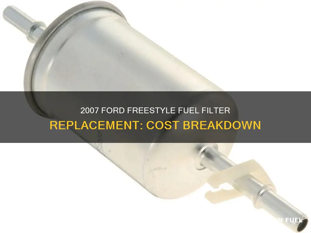 how much to replace fuel filter on 2007 ford freestyle