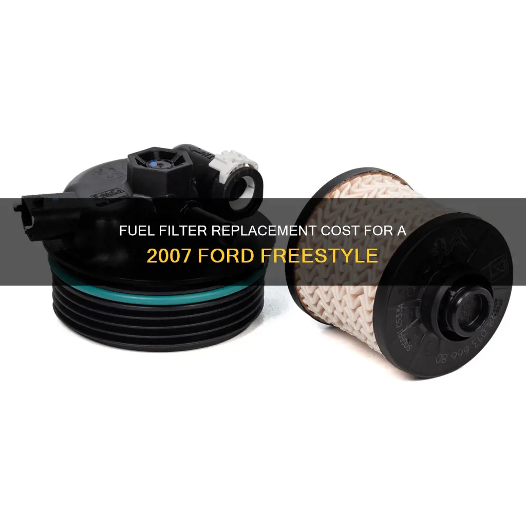 how much to replace fuel filter on 2007 ford freestyle
