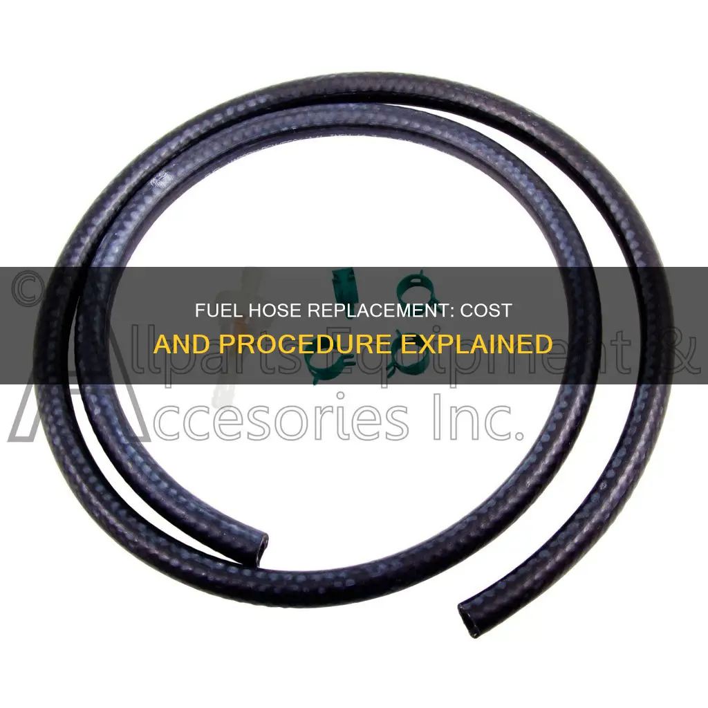 how much to replace fuel hose