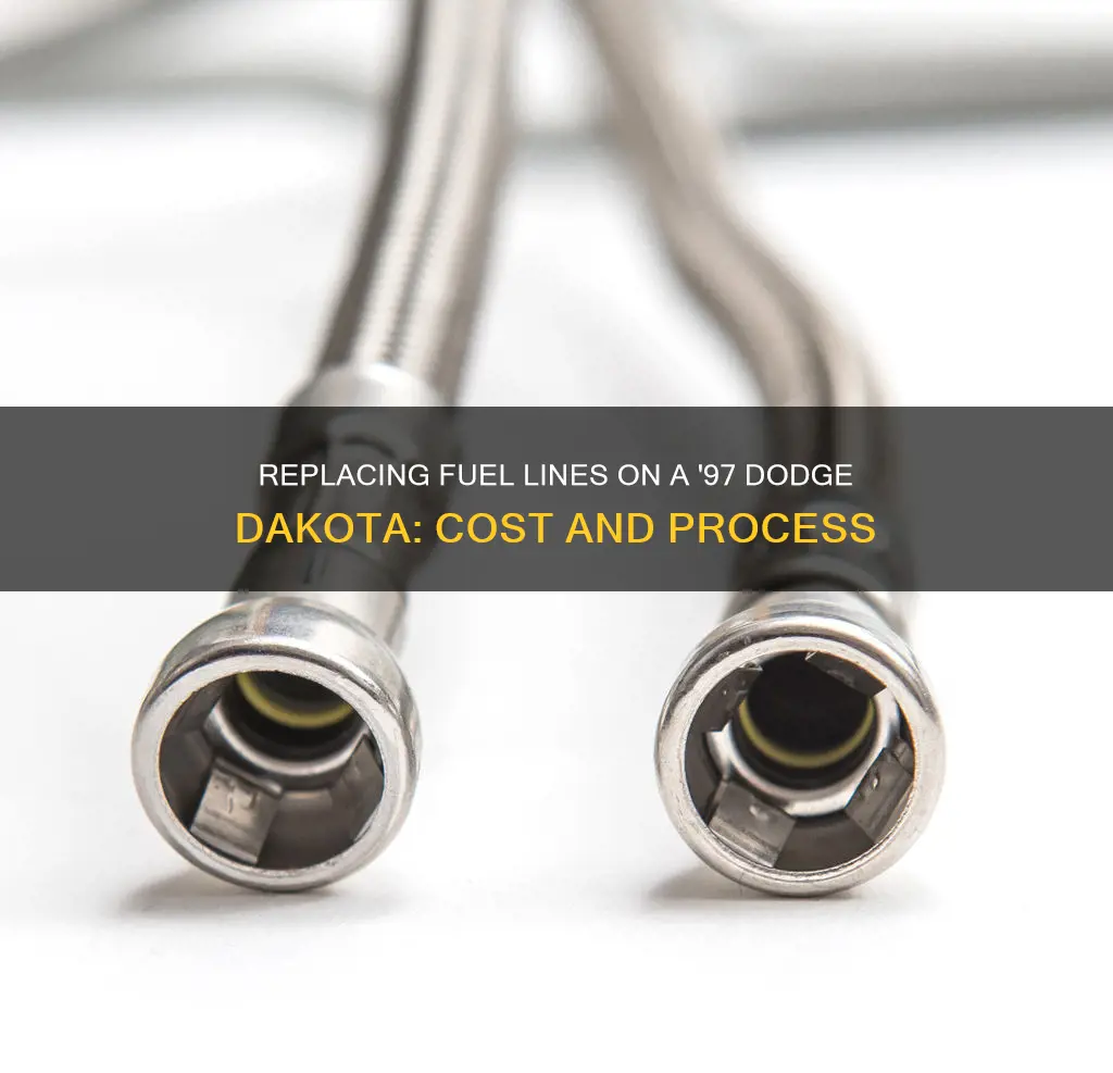 how much to replace fuel lines on dodge dakota 97