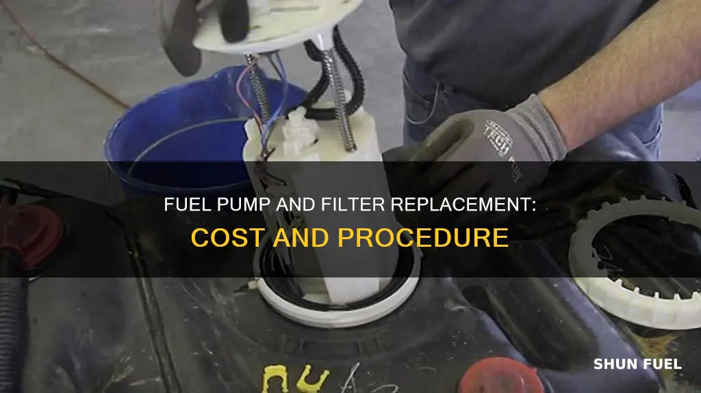 how much to replace fuel pump and filter