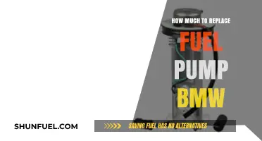 BMW Fuel Pump Replacement: Cost Breakdown and Factors