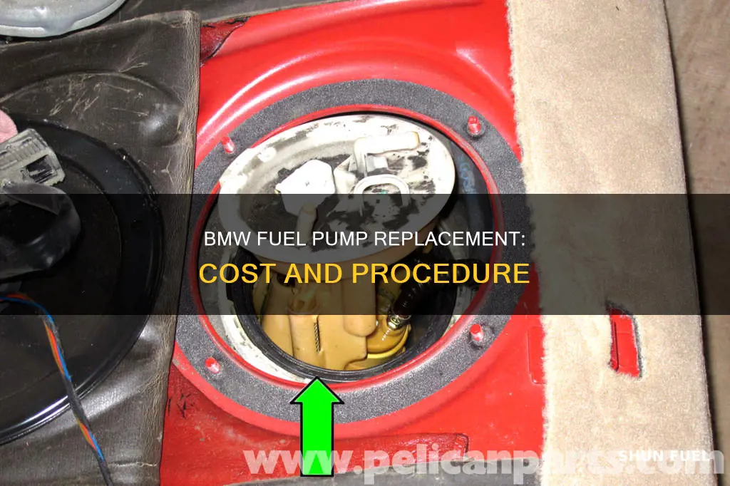 how much to replace fuel pump bmw