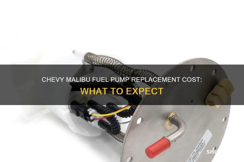 how much to replace fuel pump chevy malibu