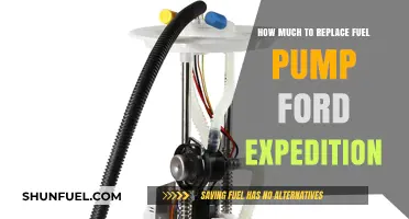 Ford Expedition Fuel Pump Replacement: Cost and DIY Guide