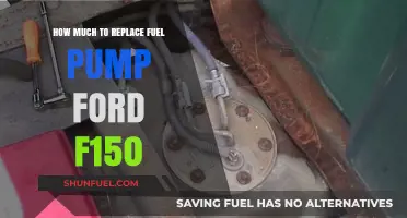 Ford F-150 Fuel Pump Replacement: Cost Breakdown and Tips