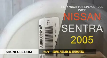 Fuel Pump Replacement Cost for Nissan Sentra 2005