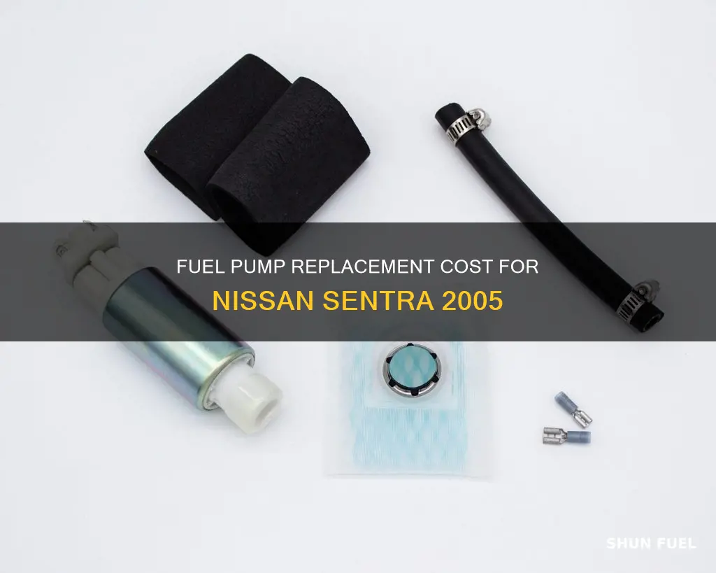 how much to replace fuel pump nissan sentral 2005