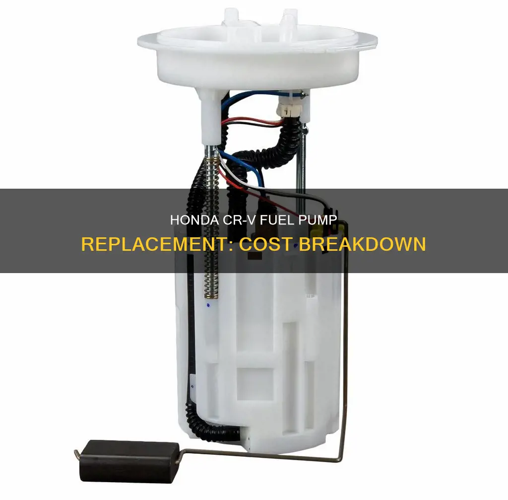 how much to replace fuel pump on 02 honda crv