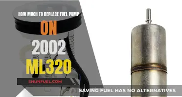 Fuel Pump Replacement Cost for a 2002 ML320