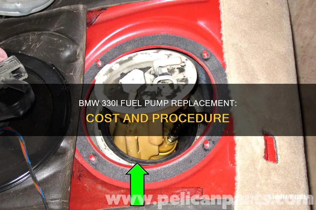 how much to replace fuel pump on 2004 bmw 330i