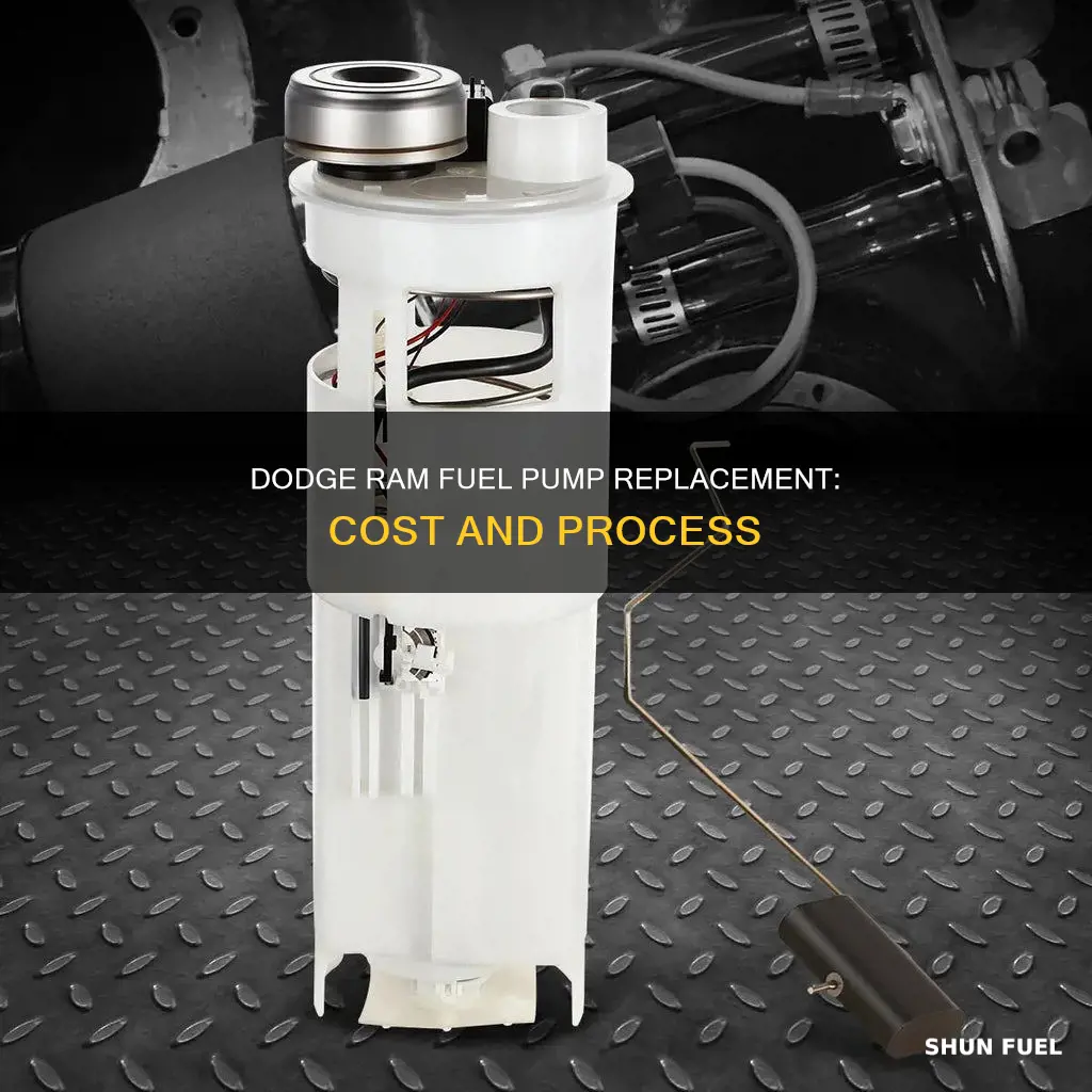 how much to replace fuel pump on 2009 dodge ram