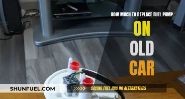 Fuel Pump Replacement: Old Car, New Cost?