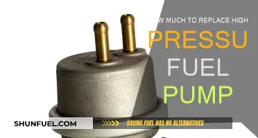 Costly Fuel Pump Replacement: What's the Damage?