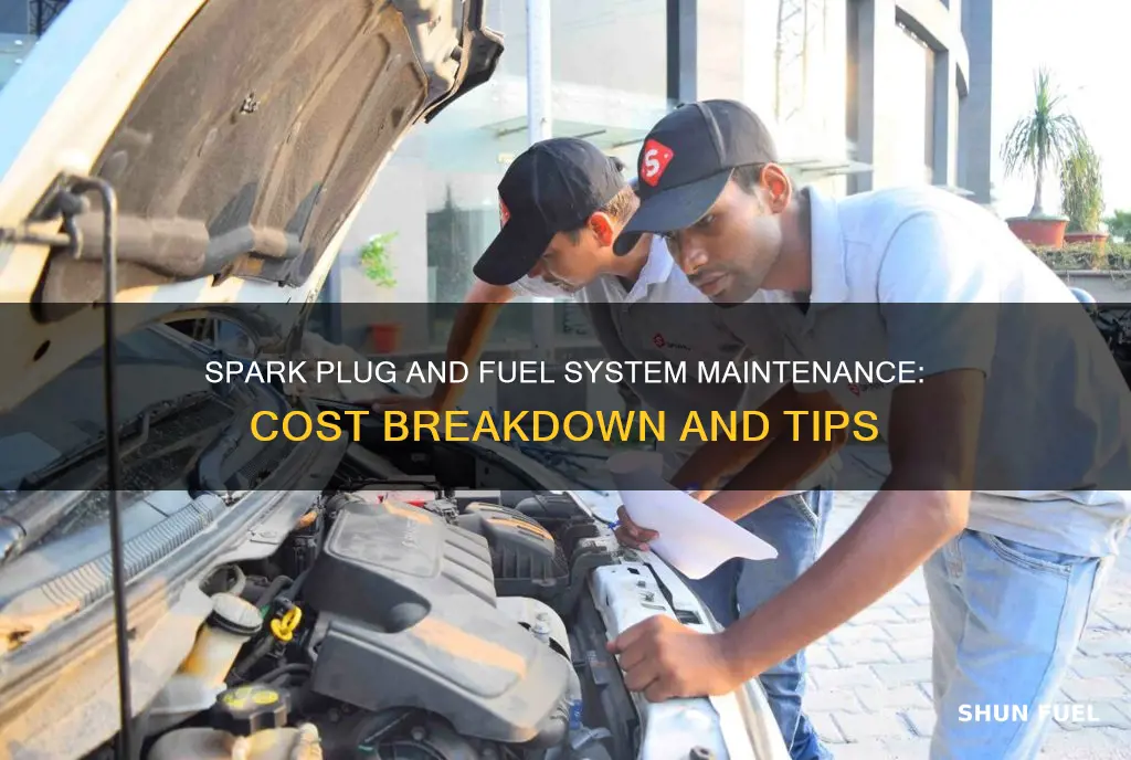 how much to replace spark plug and fuel system cleaning