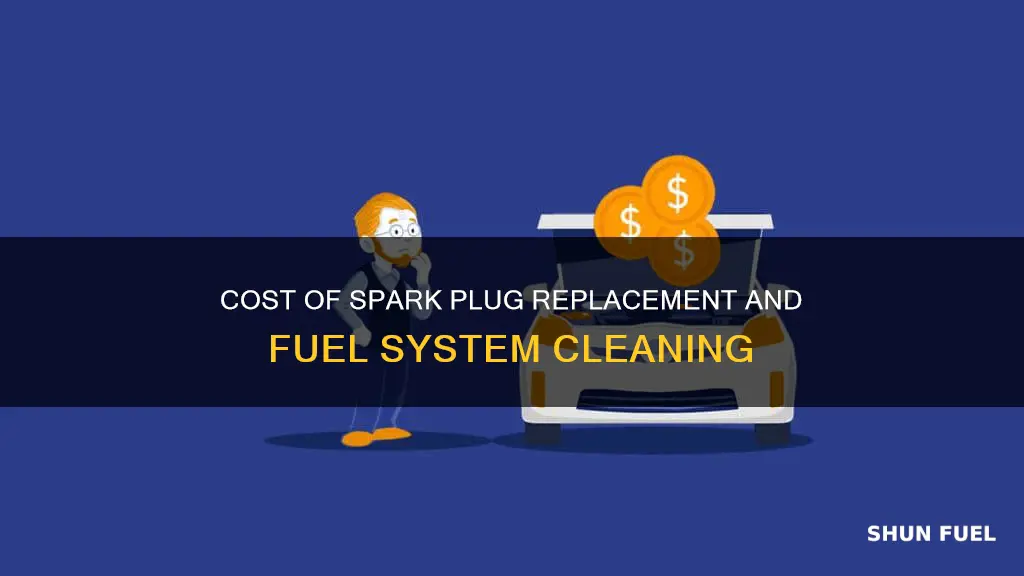 how much to replace spark plug and fuel system cleaning