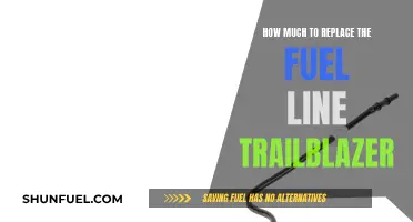 Replacing Trailblazer Fuel Line: Cost and Procedure