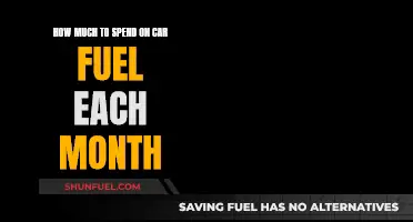 Maximize Your Fuel Budget: Tips for Monthly Car Costs