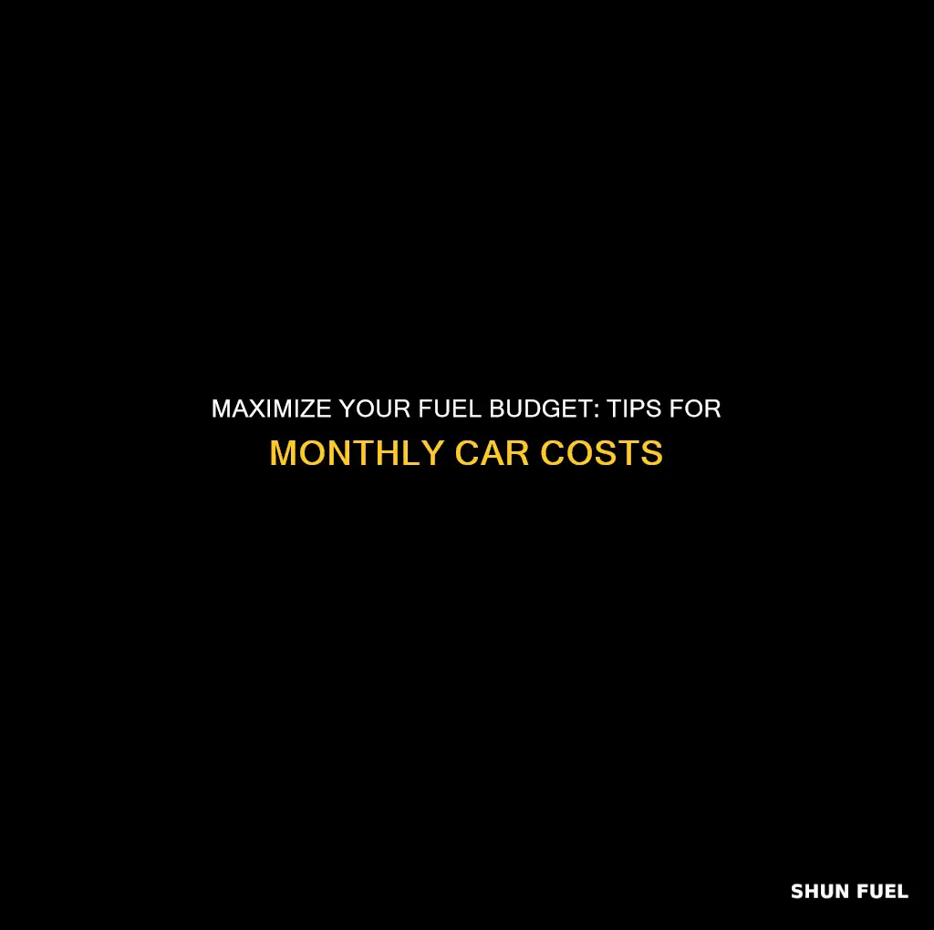 how much to spend on car fuel each month