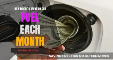 Spending Wisely on Car Fuel: Monthly Budgeting Tips