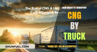 Calculating the Cost: Transporting CNG by Truck