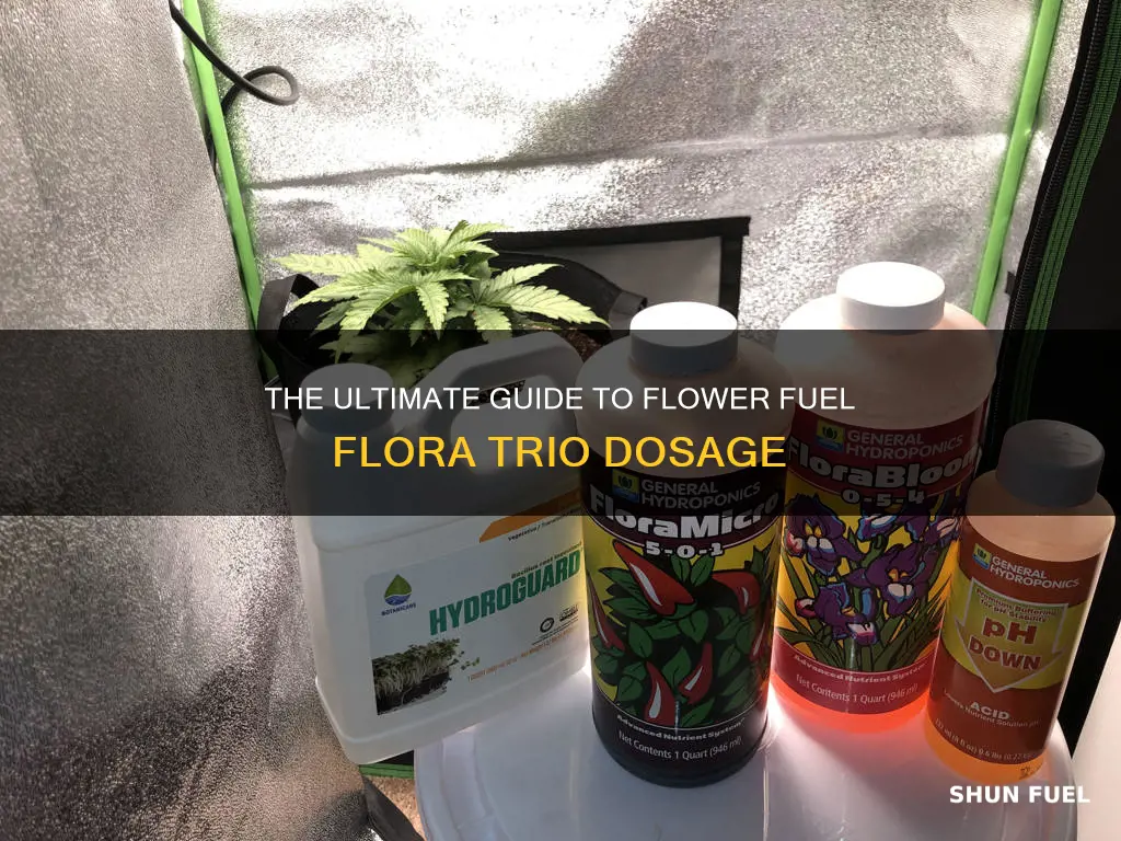 how much to use flower fuel flora trio