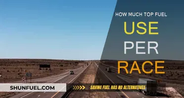 Fuel Consumption in Racing: How Much is Too Much?