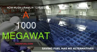 Uranium Fuel Requirements: Powering a 1000-Megawatt Plant