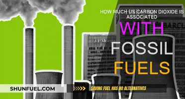 Carbon Emissions: Fossil Fuels' Dark Side