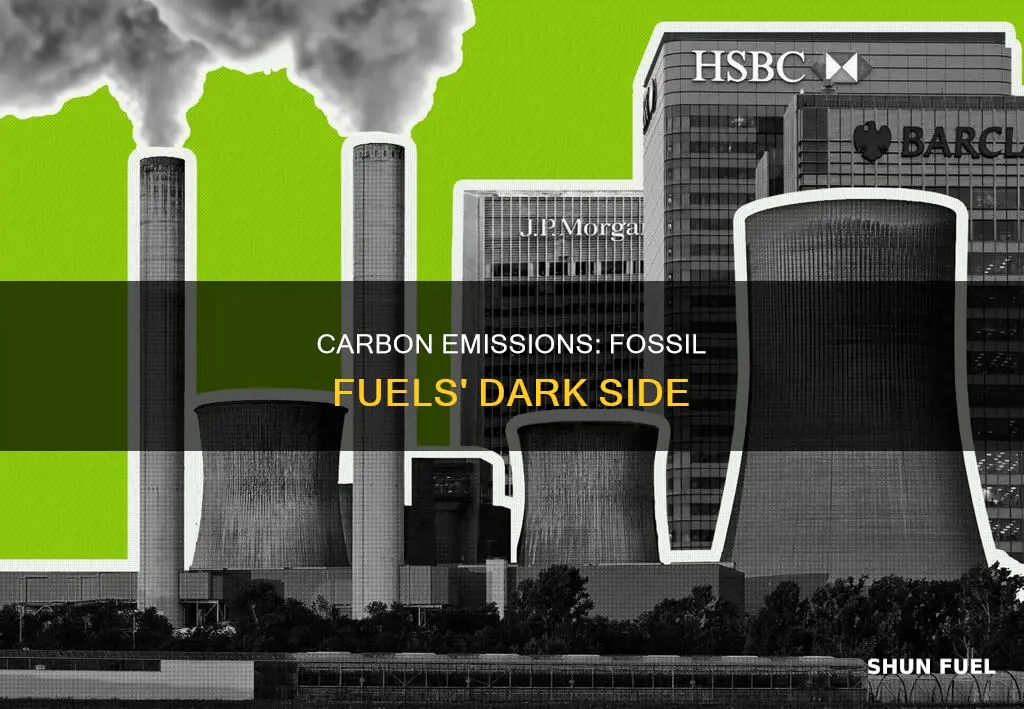 how much us carbon dioxide is associated with fossil fuels