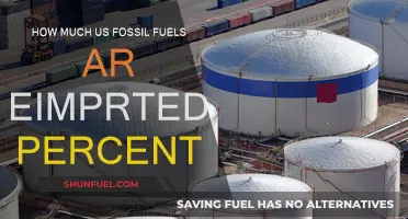 Fossil Fuels: How Much Do We Rely on Imports?